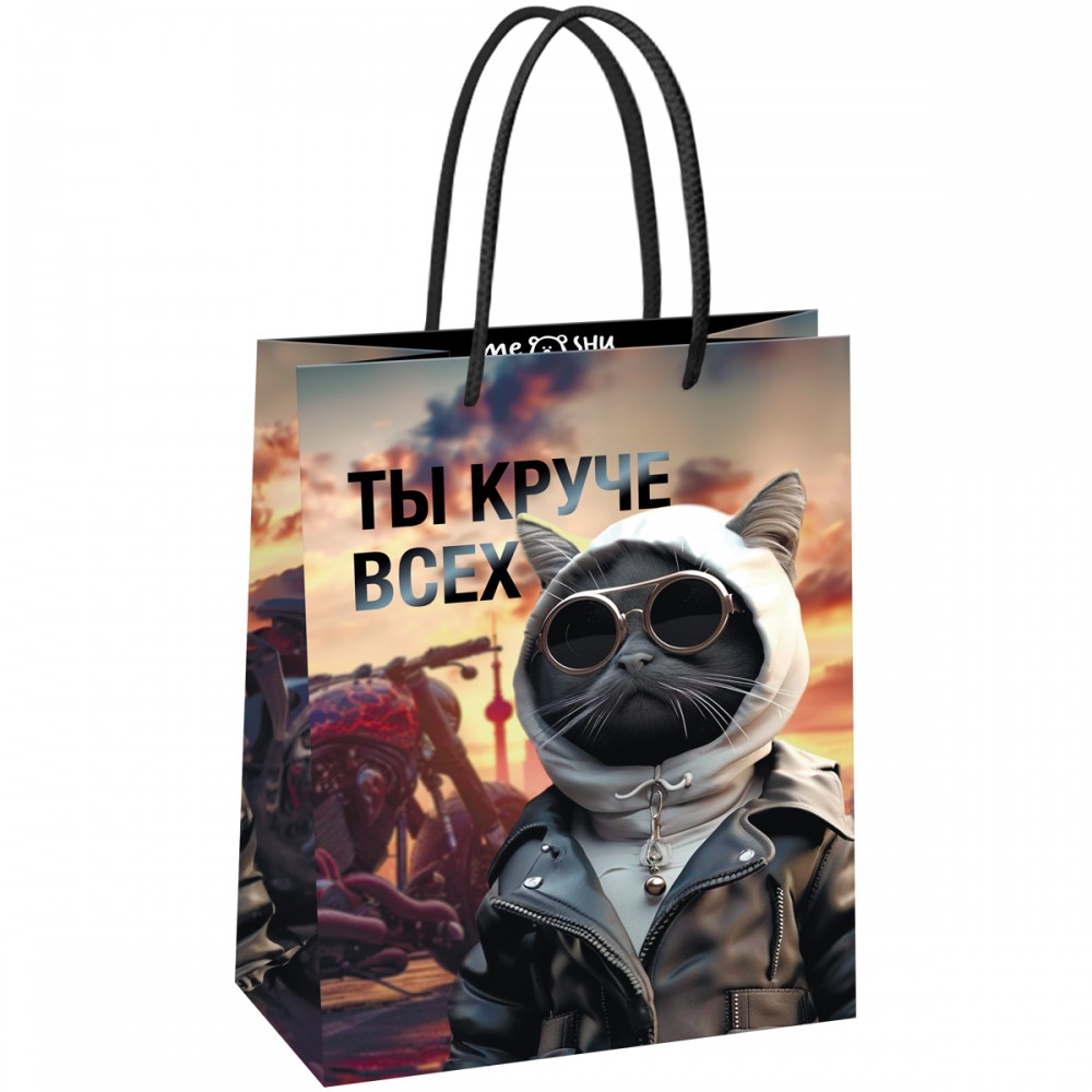 Пакет подарочный 18*23*10см MESHU &quot;Cool guy&quot;, глянцевая ламинация 371012 MS_61573