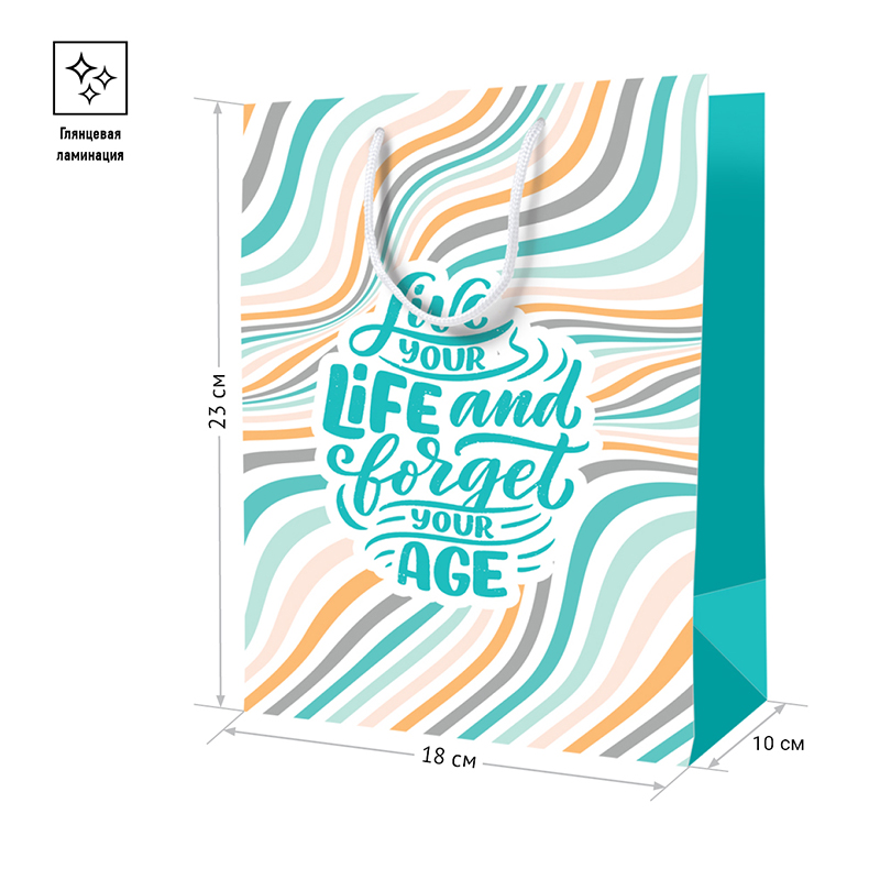 Пакет подарочный 18*23*10см ArtSpace &quot;Forget age&quot;, ламинированный 322243 Cm_39812