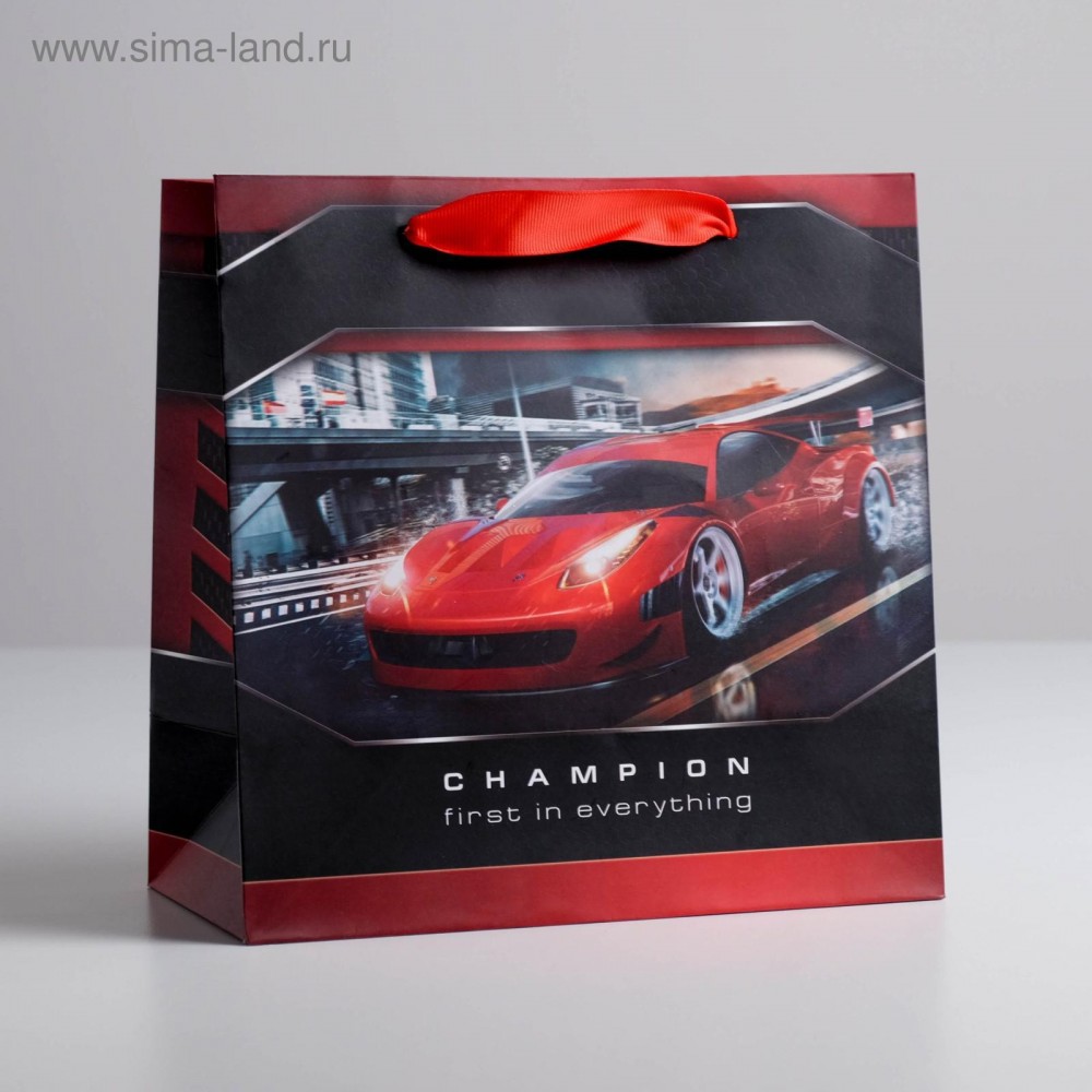 Пакет ламинированный квадратный Champion, 22 × 22 × 11 см   5226238