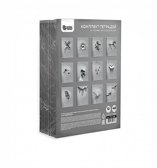 Комплект тетрадей 48 л. А5 клетка/линия, на скрепке, Schoolformat ЖИДКИЙ МЕТАЛЛ мелованный картон, твин-лак ТТК12-ЖМ 257199