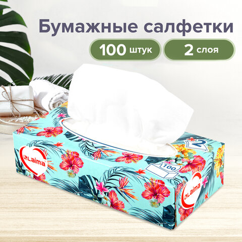 Салфетки косметические 100 шт. в картонном боксе 2-слойные, LAIMA &quot;Everyday&quot;, 20х20 см, 113588