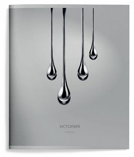 Тетрадь 48 л. А5 клетка, на скрепке, Schoolformat ЖИДКИЙ МЕТАЛЛ История мелованный картон, твин-лак ТТКИСТ-ЖМ 257193