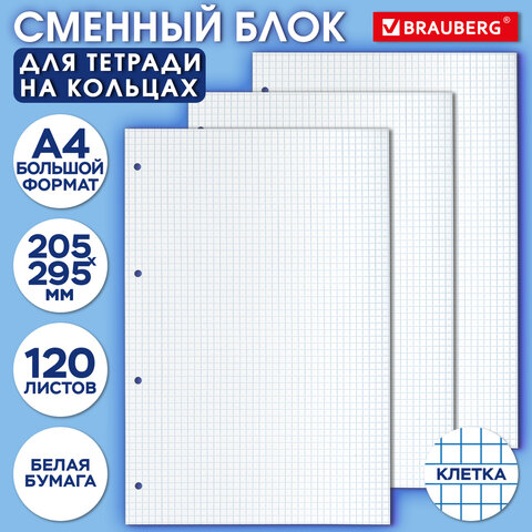 Сменный блок к тетради на кольцах БОЛЬШОГО ФОРМАТА А4, 120 л., BRAUBERG, Белый, 404518