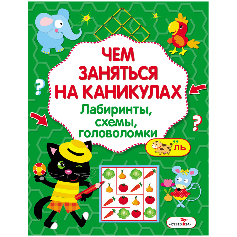 Книжка-задание, А4, ТД Стрекоза &quot;Чем заняться на каникулах? Лабиринты, схемы, головоломки&quot;, 16стр. 342577  978-5-9951-3044-4
