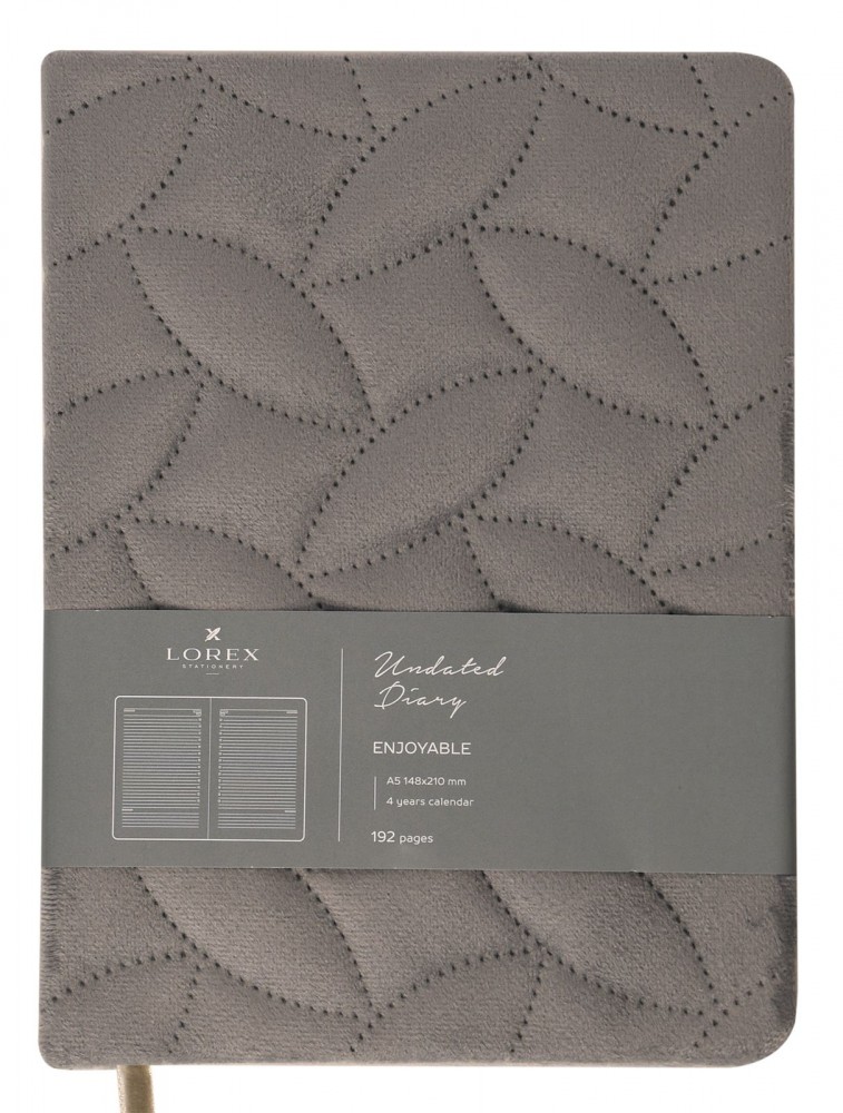 Ежедневник А5 недатированный LOREX ENJOYABLE 96 листов серебро, твердая обложка, с ляссе, линия 244096 LXDRA5-EJ3