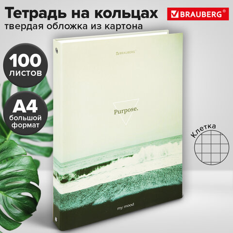 Тетрадь на кольцах БОЛЬШАЯ А4, 215х305 мм, 100 л., твердый картон, клетка, BRAUBERG, &quot;Nature&quot;, 405411