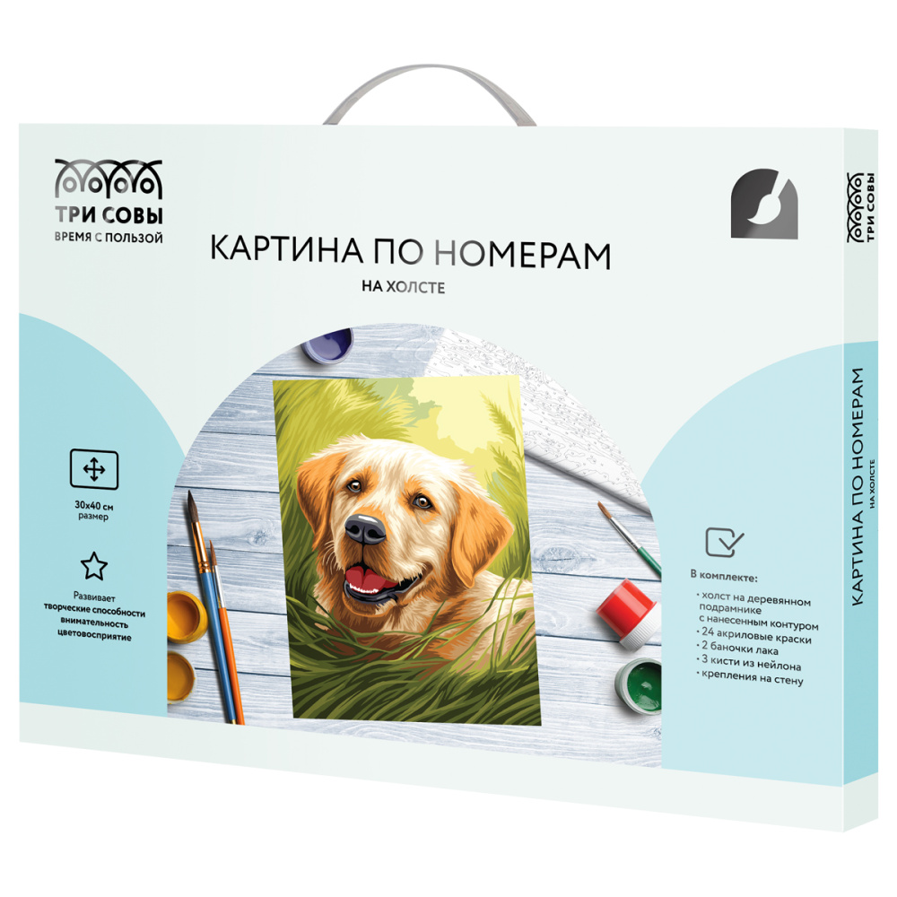 Картина по номерам на холсте ТРИ СОВЫ &quot;Лабрадор&quot;, 30*40, с акриловыми красками и кистями 358729  КХ3040_53846