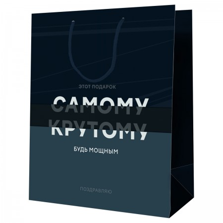 Пакет подарочный 26*32*12см MESHU &quot;Самому крутому&quot;, ламинированный 354778 MS_52165