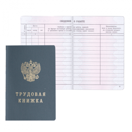 Бланк документа Трудовая книжка в твердой обложке (121229)