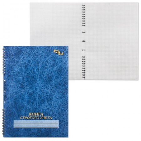 Книга &quot;Строгого учета&quot;, 50 л., А4, 204х290 мм, прошита под печать, обложка лакированный картон, гребень, 13с20-50/130170