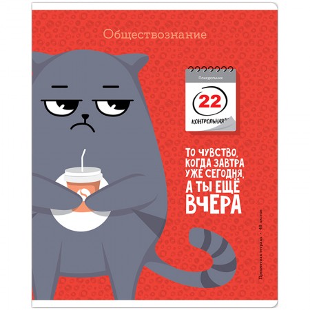 Тетрадь предметная 48л. ArtSpace &quot;Котоцинизм&quot; - Обществознание, ТВИН-лак 332207 Тп48ТЛк_42607