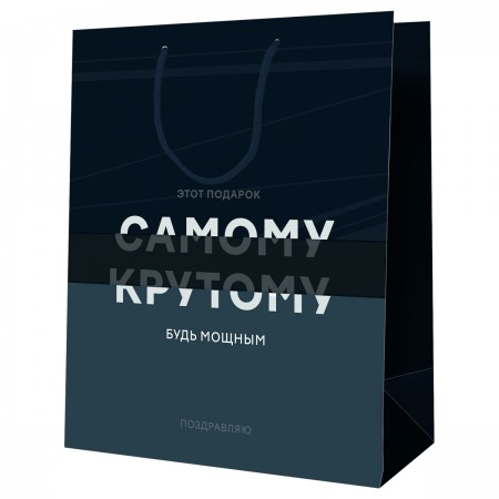 Пакет подарочный 18*23*10см MESHU &quot;Самому крутому&quot;, ламинированный 354757  MS_52123