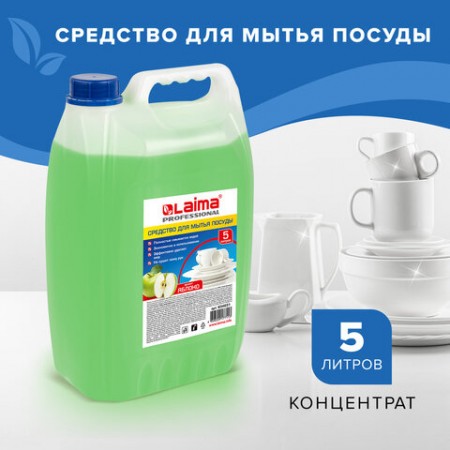 Средство для мытья посуды 5 л, LAIMA PROFESSIONAL, концентрат, &quot;Яблоко&quot;, 604651