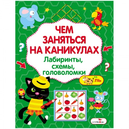 Книжка-задание, А4, ТД Стрекоза &quot;Чем заняться на каникулах? Лабиринты, схемы, головоломки&quot;, 16стр. 342577  978-5-9951-3044-4