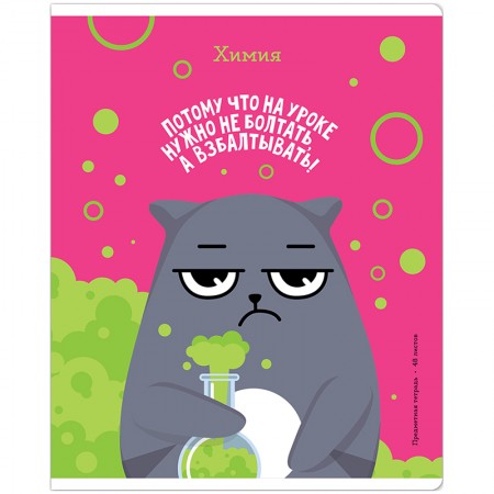Тетрадь предметная 48л. ArtSpace &quot;Котоцинизм&quot; - Химия, ТВИН-лак 332212/Тп48ТЛк_42617