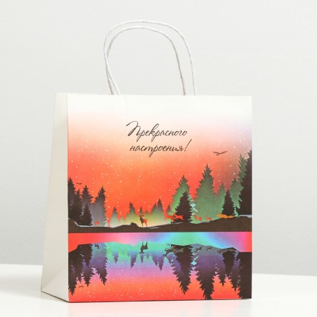 Пакет подарочный &quot;Закат&quot;, крафт, 24 x 23 x 10 см 7601658