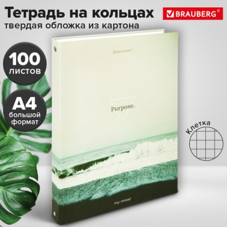Тетрадь на кольцах БОЛЬШАЯ А4, 215х305 мм, 100 л., твердый картон, клетка, BRAUBERG, &quot;Nature&quot;, 405411