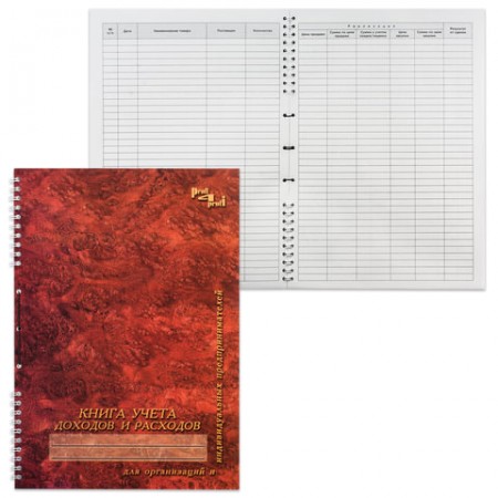 Книга учета доходов и расходов, 50 л., картон, на гребне, А4 (204х290 мм), 13с21-50/ 130171