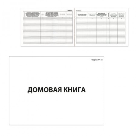 Книга &quot;Домовая (поквартирная) книга&quot; Форма №18, (80 л.), А4, 198х278 мм, BRAUBERG, картон, блок офсет, 130193